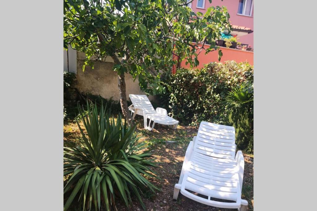 Apartmán Casa Di Nonna Pina, Kuca U Blizini Arene